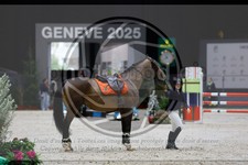ref. photo 3895431