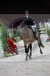 ref. photo 3895474