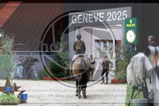 ref. photo 3895478