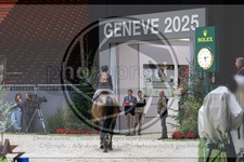 ref. photo 3895479