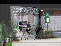 ref. photo 3895546