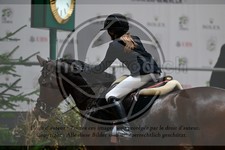 ref. photo 3895619