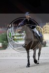 ref. photo 3895657