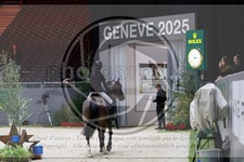 ref. photo 3895660
