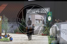 ref. photo 3895713