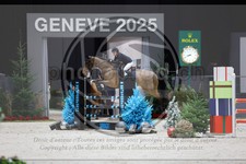 ref. photo 3895749