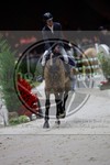 ref. photo 3895771
