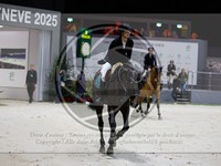 ref. photo 3895818