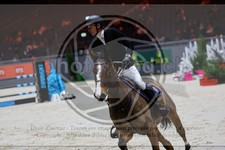 ref. photo 3895830