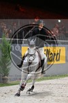 ref. photo 3895836