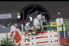 ref. photo 3895848