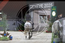 ref. photo 3895856