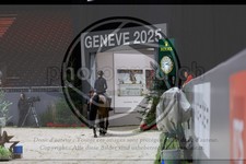 ref. photo 3895904