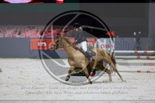 ref. photo 3895956