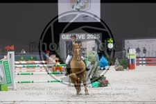 ref. photo 3895959