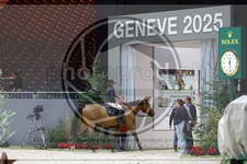 ref. photo 3896001