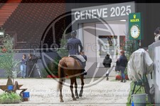 ref. photo 3896012