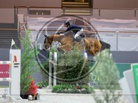 ref. photo 3896019