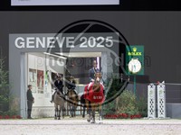ref. photo 3896026