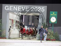 ref. photo 3896093