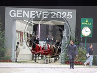 ref. photo 3896094