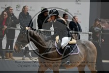 ref. photo 3896117