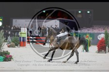 ref. photo 3896119