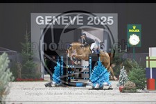 ref. photo 3896129