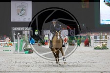 ref. photo 3896131