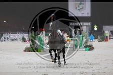 ref. photo 3896143