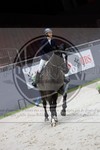 ref. photo 3896148