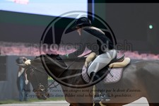 ref. photo 3896153