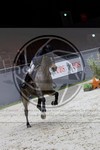 ref. photo 3896213