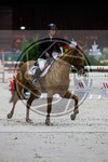 ref. photo 3896311