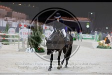 ref. photo 3896355