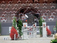 ref. photo 3896365