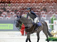 ref. photo 3896370