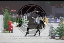 ref. photo 3896424