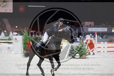 ref. photo 3896426