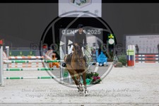 ref. photo 3896436