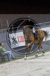 ref. photo 3896440