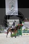 ref. photo 3896444