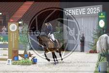 ref. photo 3896450