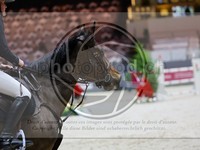 ref. photo 3896495