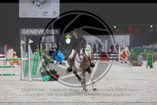 ref. photo 3896573