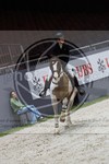 ref. photo 3896578