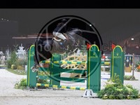ref. photo 3896584