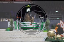 ref. photo 3896616