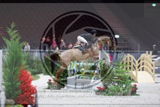 ref. photo 3896617