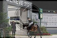 ref. photo 3896633